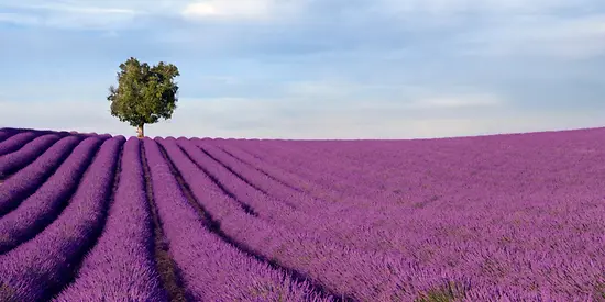 Frankreich Reiseversicherung 